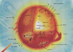 Composition du Soleil - Cliquez pour agrandir